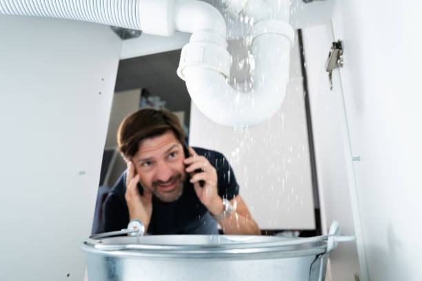 Best Drain Cleaning Services  in Bethalto, IL